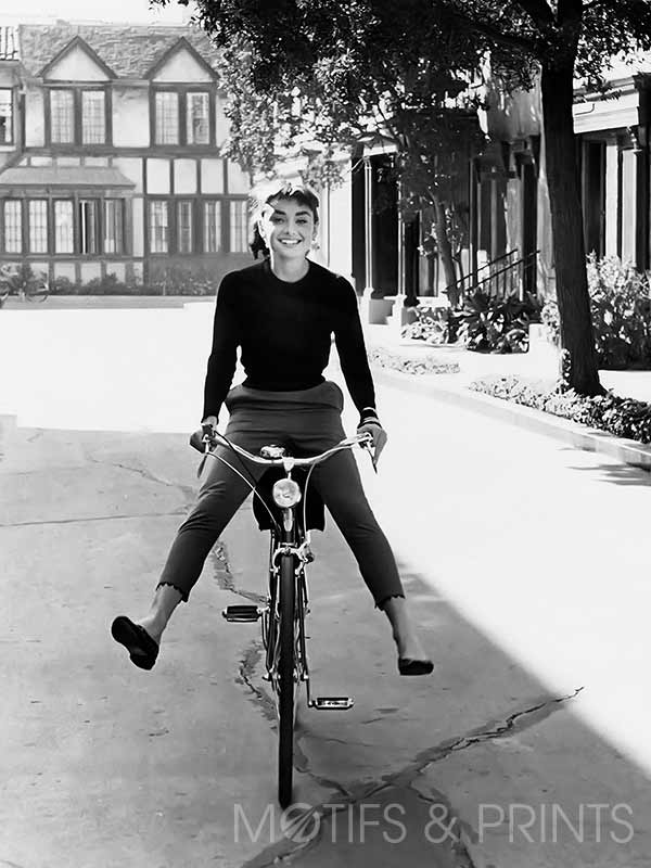 Audrey Bicycle