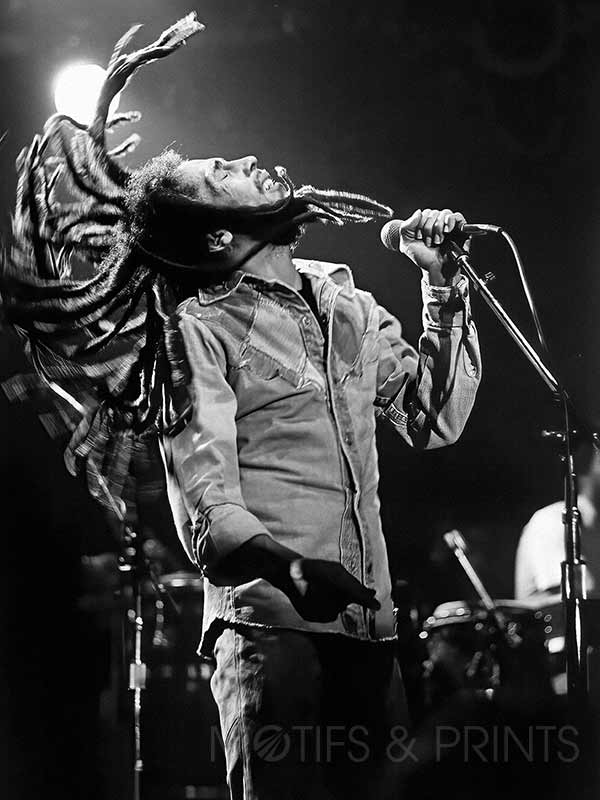Bob Marley Concert