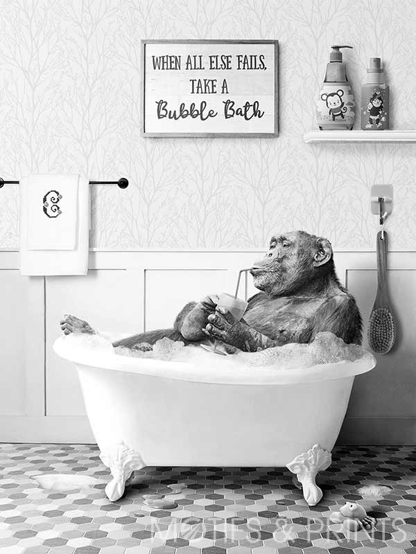 Chimpanzee In Tub