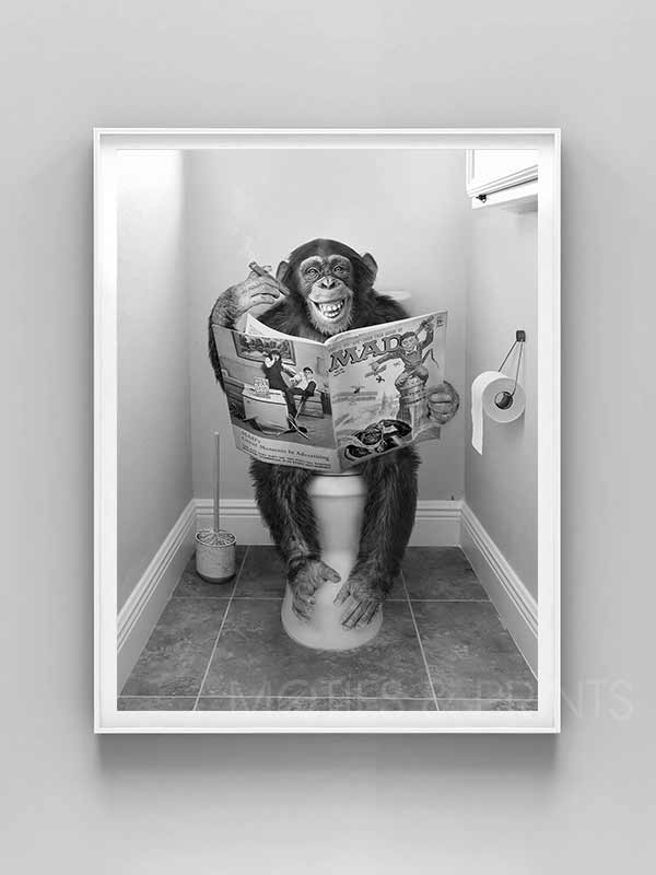 Chimpanzee On Toilet – Motifs and Prints