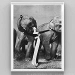 Dovima with the Elephants (V) – Motifs and Prints