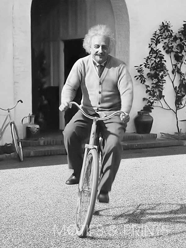 Einstein Bicycle 3