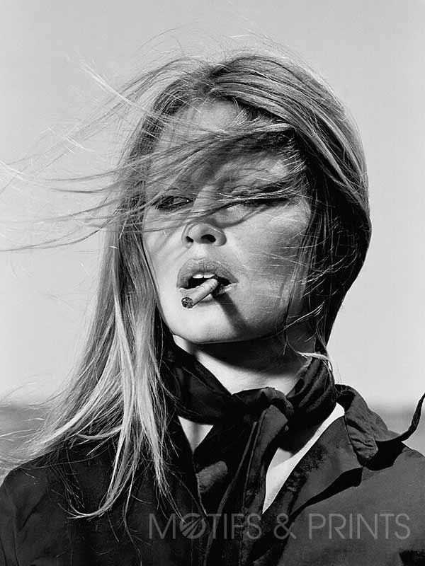 Brigitte Bardot Closeup