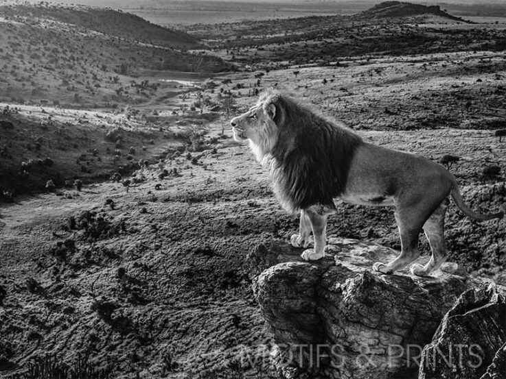 Lion Rock