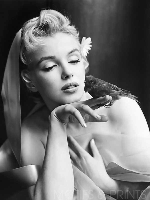 Marilyn Monroe With Bird